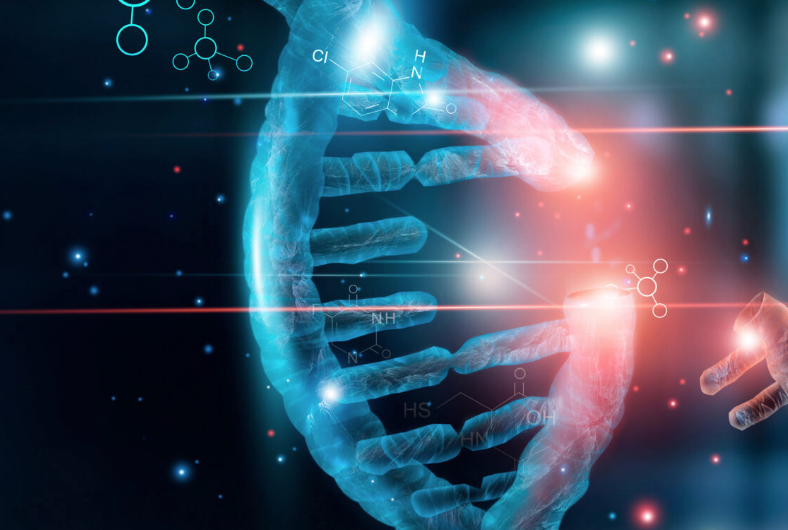 DNA کسب‌وکار (Business DNA)