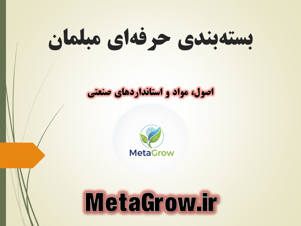 بسته‌بندی حرفه‌ای مبلمان و تجهیزات چوبی (24 اسلاید)